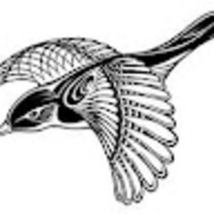 Meet your Posher, Quabbin reservoir